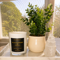 Black Raspberry & Vanilla Candle