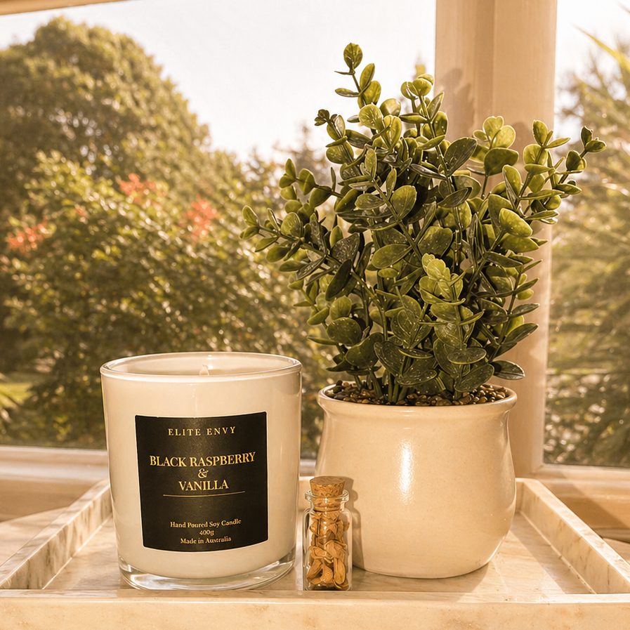Black Raspberry & Vanilla Candle