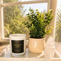 Coconut Lime Candle