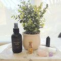 Coconut Lime Room Spray