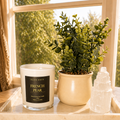 French Pear Candle