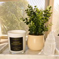 Japanese Honeysuckle Candle