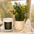 Lemongrass & Persian Lime Candle