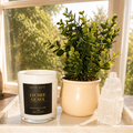 Lychee Guava Candle
