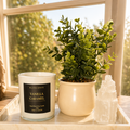 Vanilla Caramel Candle